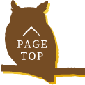このページのトップへ